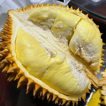 金枕榴莲A果 泰国空运