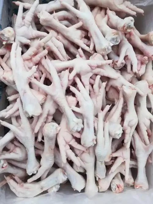 进口冻鸡脚