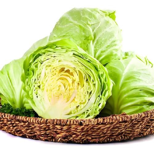 包菜 云南产 散装